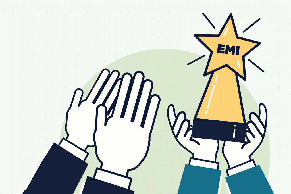 Maximising Efficiency for Regulated EMIs with Scheme Permissions